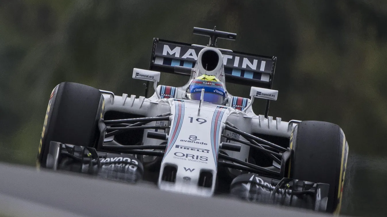 Felipe Massa, Williams, Malajziai Nagydíj, Forma-1 