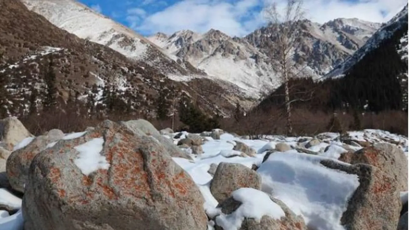 Lavinaomlás Kirgizisztánban, lavinomláskirgizisztán