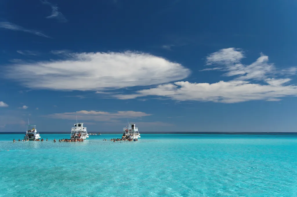 Karib-tenger, rája, tengeri ráják, Stingray City, homokos part, Kajmán-szigetek, Grand Cayman, turisztikai attrakció 