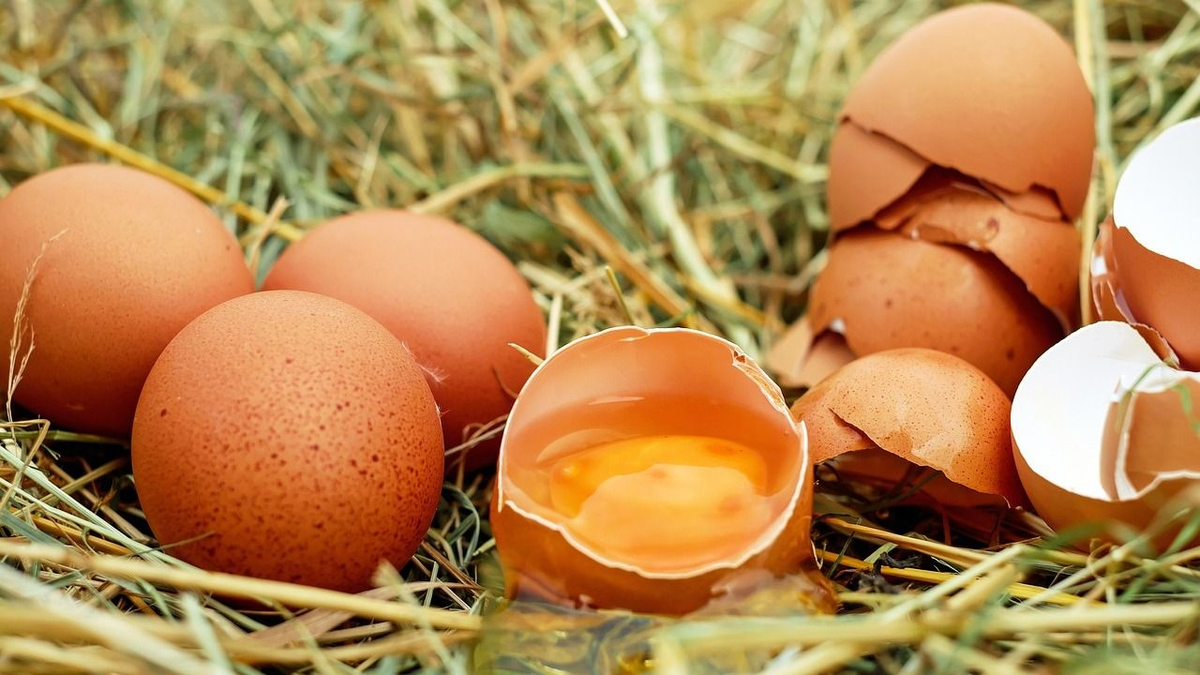 Egészséges tojás: 9 ok, hogy miért egyen rendszeresen tojást, ne csak húsvét idején