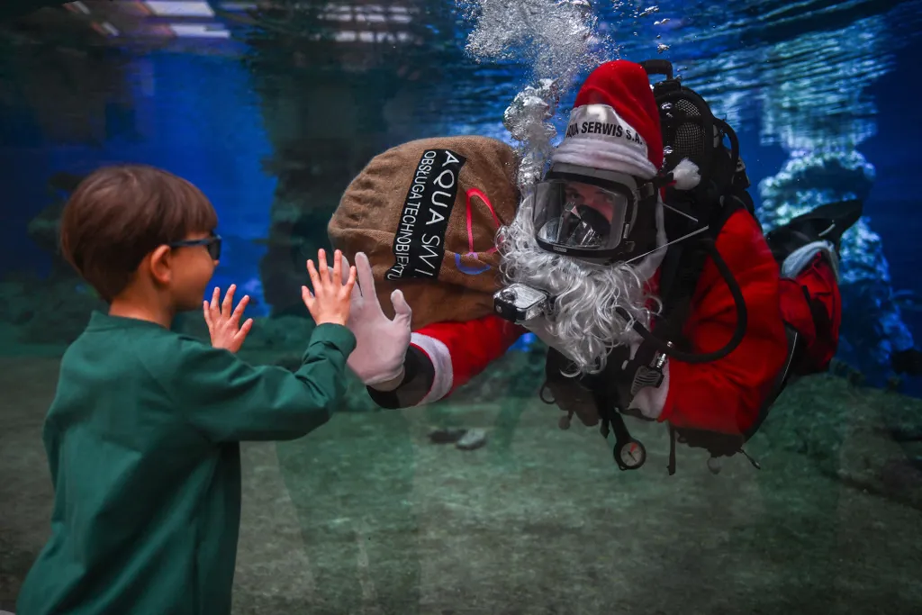 Így várják a karácsonyt a nagyvilágban 2023.  animal,Animal Life,december,diver,Poland,reef fishes,Santa Horizontal WROCLAW, POLAND - DECEMBER 22: A diver dressed as Santa Claus greets a visiting child as he swims among 