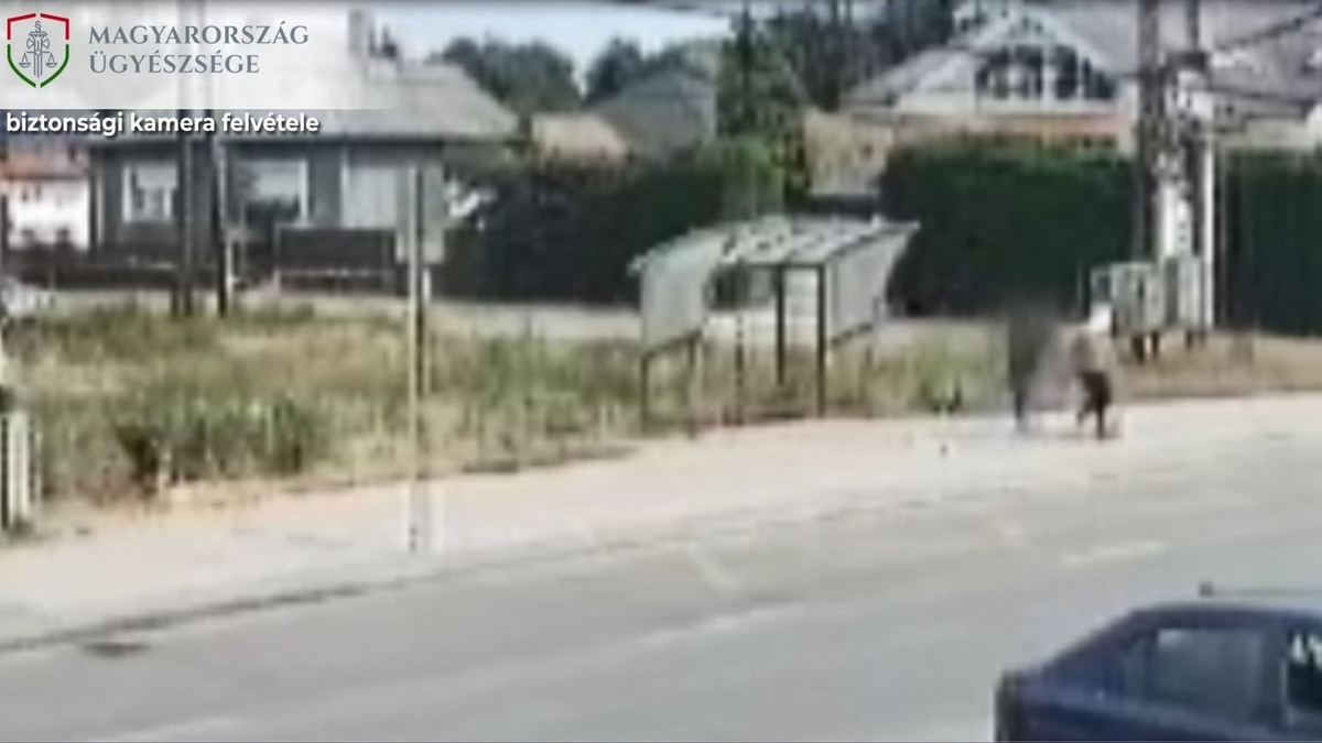 Csonttörésig fajult a vita két vásárló között Nagykátán - videó