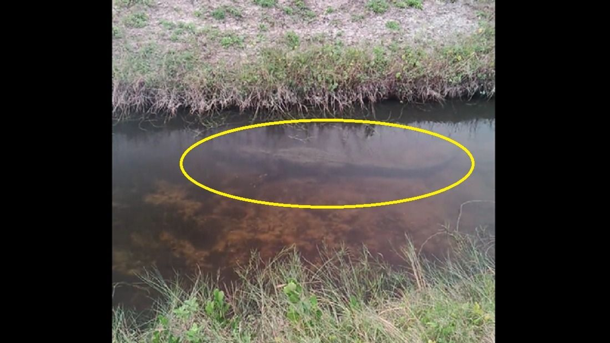 Ezért lehet életmentő egy napszemüveg - videó
