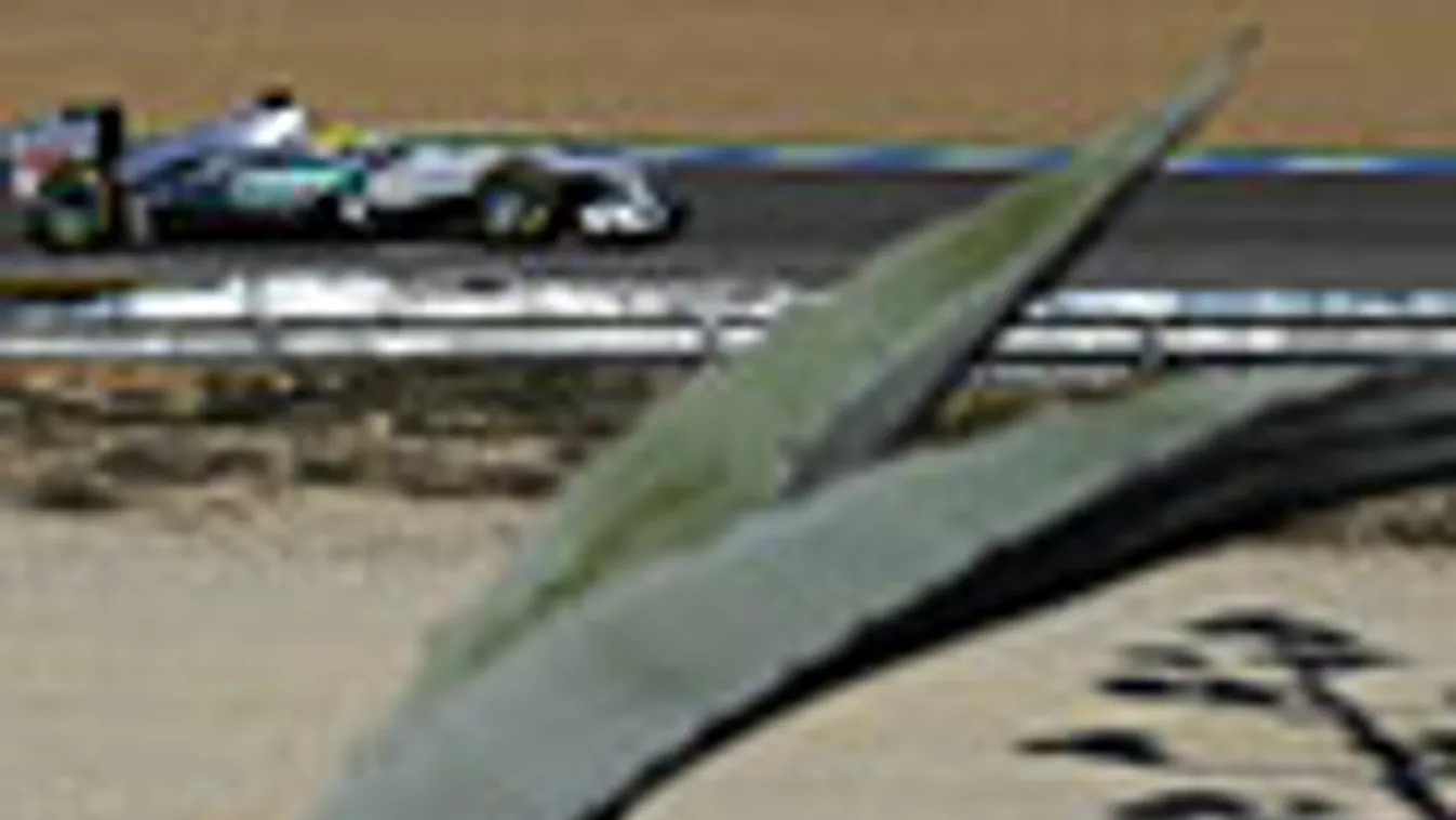 Forma-1, Nico Rosberg, Mercedes, tesztelés