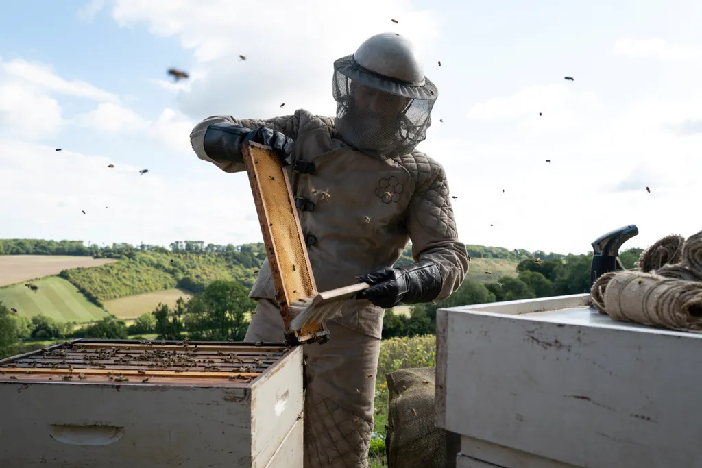 How Beckham's made beekeeping the hot new hobby Jason Statham The Beekeeper TheBeekeeper action null sky cinema sky original skycinema skyoriginal South West News Service ODDSHOT 