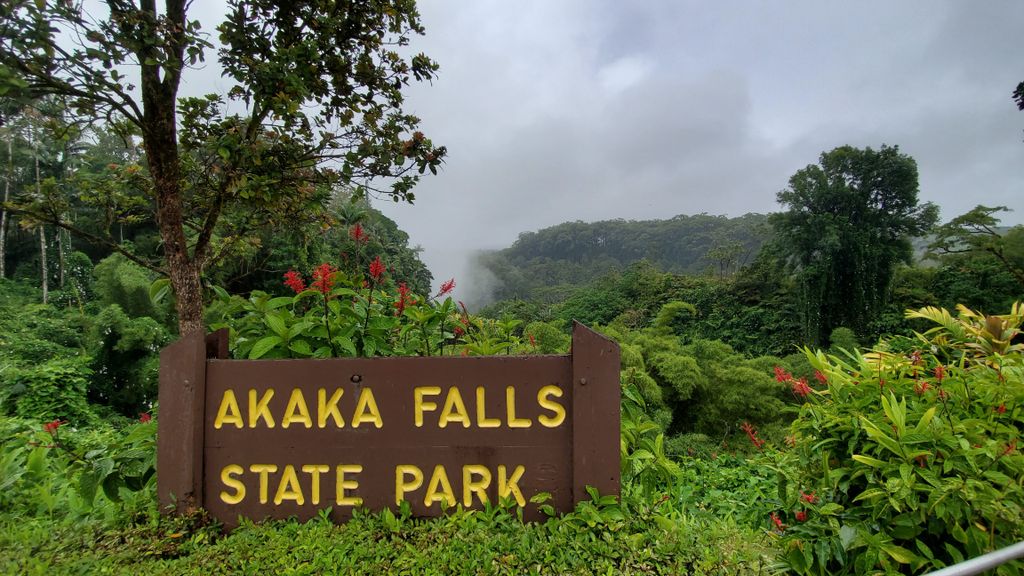 Akaka Falls State Park, állami park, Hawaii-sziget, Egyesült Államok Hawaii állama, park, Hilo, Honomū, Hawaii Belt Road, Hawaii Route 220, Akaka Fallst , 134méter magas vízesés 