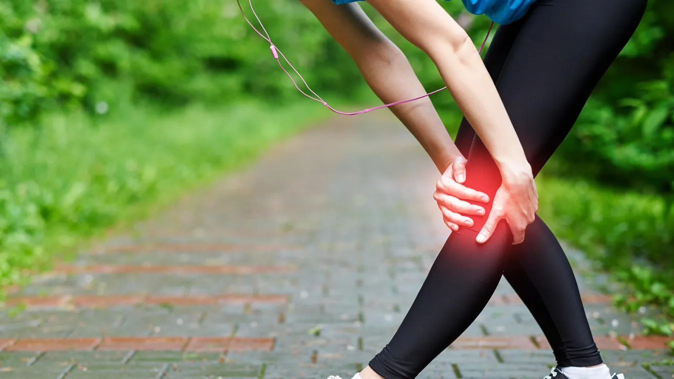 Woman athlete runner touching Knee in pain, fitness woman running in summer park. Healthy lifestyle and sport concept knee sprain trauma running pain touching run woman athlete concept fitness runner sport summer injury lifestyle active activity ankle ath