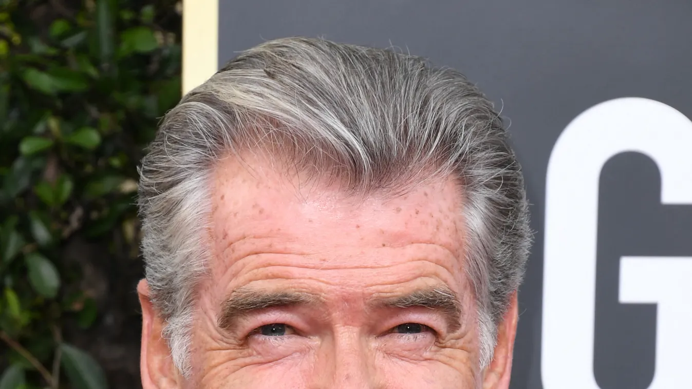 Pierce Brosnan 2020 