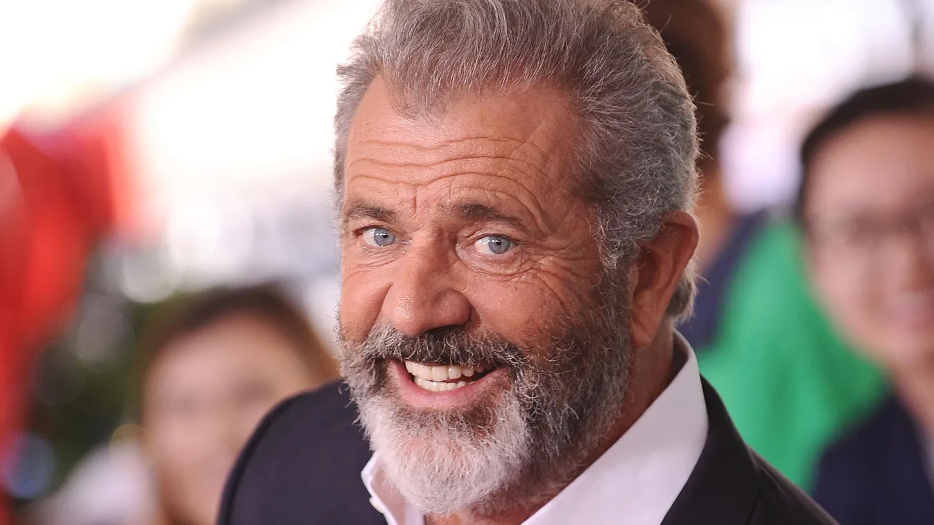 A 10 leggazdagabb színész a világon, Mel Gibson 