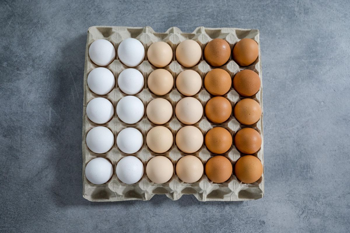 tojás, egészséges tojás