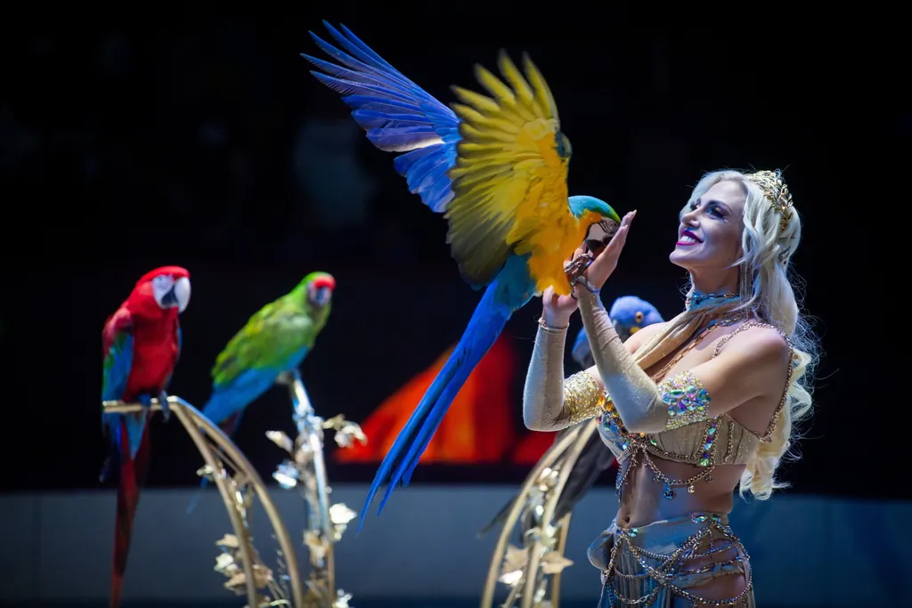 CUSSADIE, Elisa ÁLLAT állatidomár cirkuszművész Foglalkozás madár papagáj SZEMÉLY 