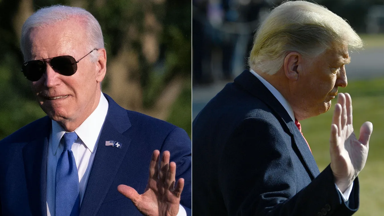 US election: What if Biden or Trump leaves the race?
