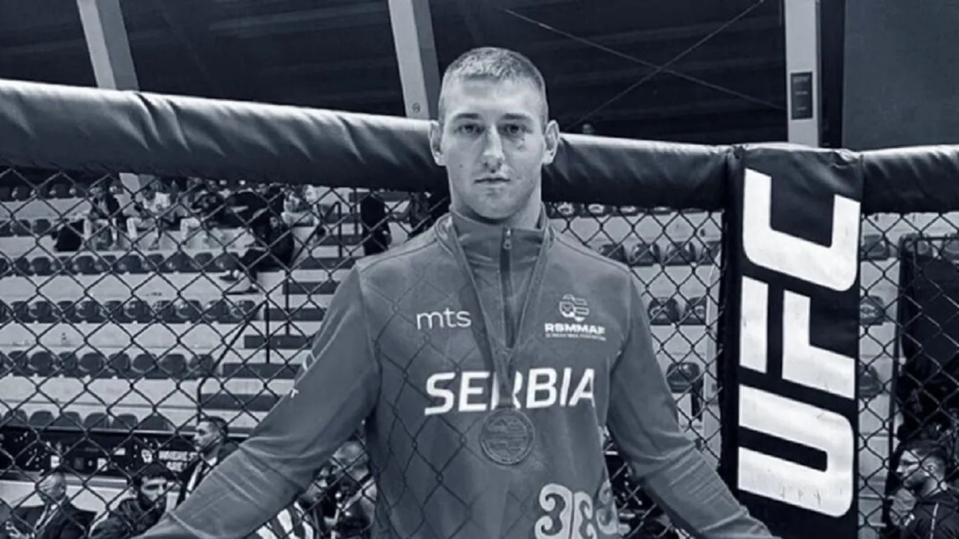 Sztefan Savics, MMA