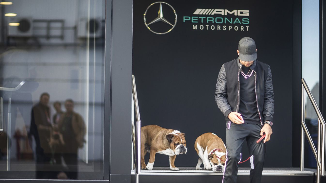 F1 Grand Prix of Hungary - Previews Hungary Budapest Lewis Hamilton Hungaroring F1 Grand Prix Formula One Grand Prix of Hungary BUDAPEST, HUNGARY - JULY 27 : Lewis Hamilton of Great Britain and Mercedes GP leaves the motorhome with his dogs Roscoe and Coc