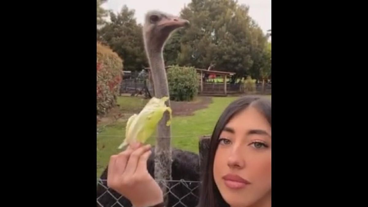 Enni adott a struccnak a lány, de erre nem számított - videó