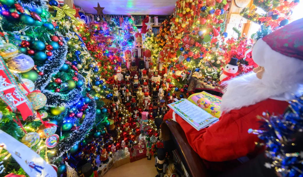 advent karácsony 555 karácsonyfa 
  Family decorates house with 555 Christmas trees Arts, Culture and Entertainment Colorful Passion for collecting Horizontal CUSTOMS CHRISTMAS CHRISTMAS TREE COLLECTOR 