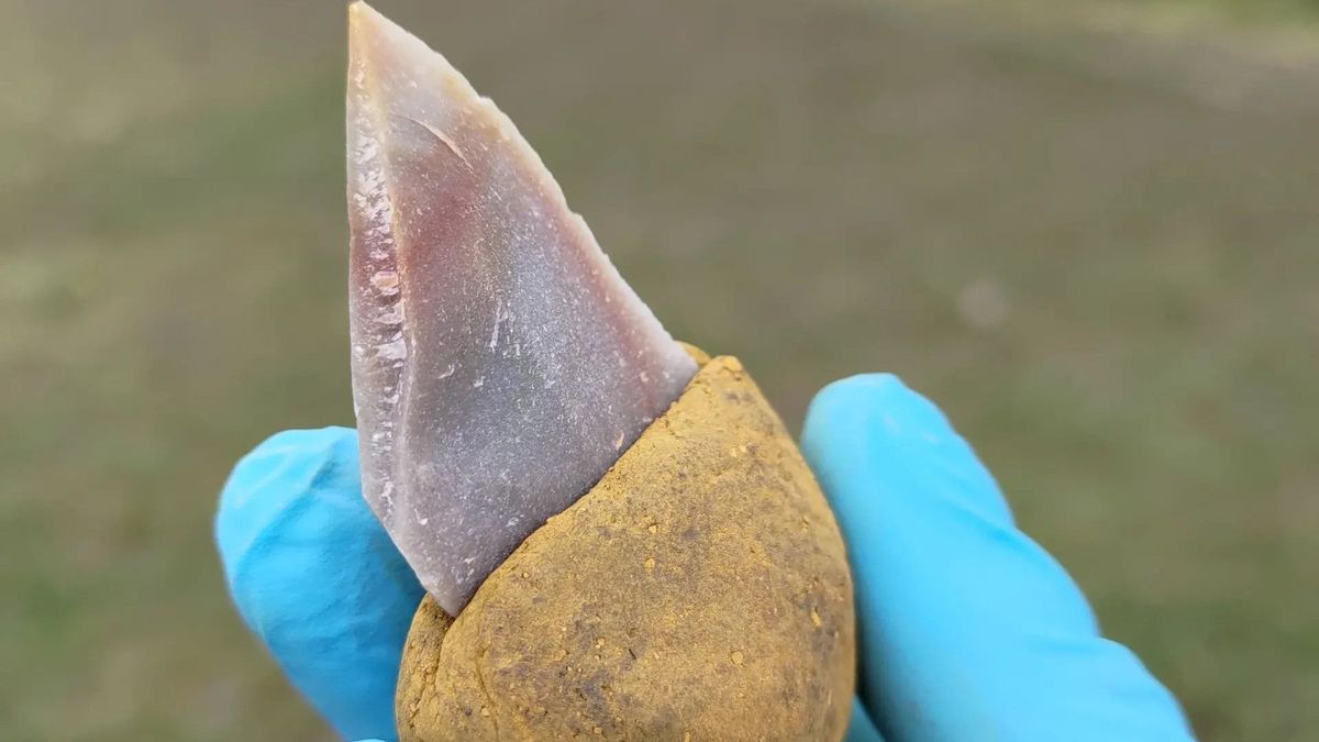 A neandervölgyiek meglepően kifinomult ragasztót használtak