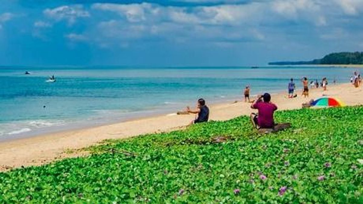 Valentin-napon gázolt halálra egy brit turistát egy teherautó Thaiföldön