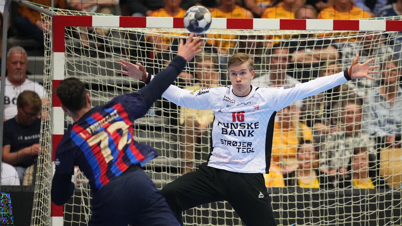 Denmark Handball Champions League handball Horizontal 