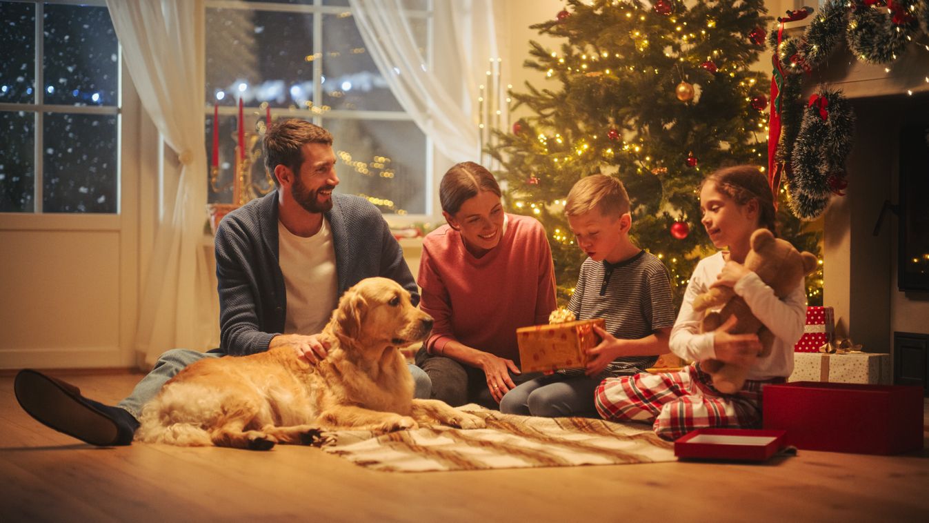 karácsony, ünnepek, gyerekek, család 