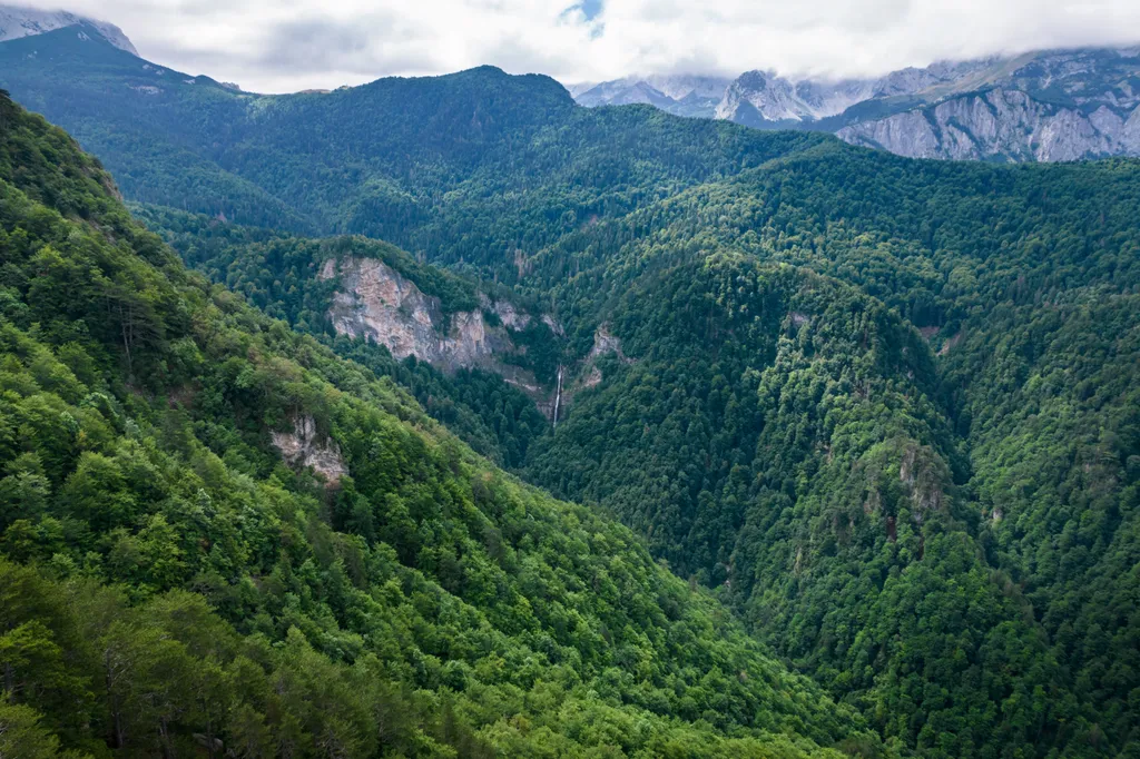 A 20ezer éves Perućica  egyike az utolsó őserdőknek Európában, ahol egy csodálatos vízesés is található, Perucica, erdő