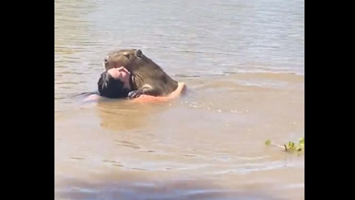 Egy hatalmas rágcsálót ölelt magához a lány a vízben - videó