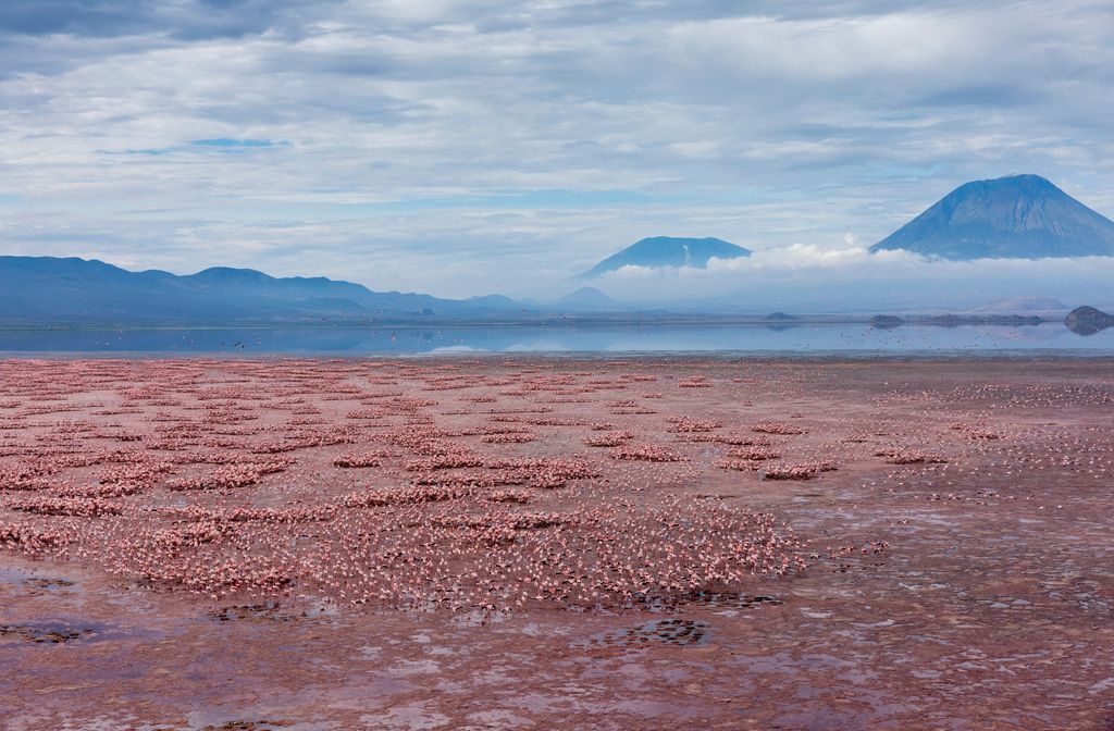 Nátron-tó, sós tó, Tanzánia, északi része, kenyai határhoz közel, a Nagy-hasadékvölgy, Sekély, kevesebb mint három méter mély tó, mérgező, halálos 