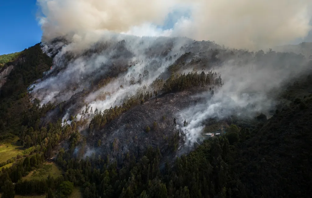 Kolumbia, erdőtűz, tűzoltó, 2024., 
 Nemocón, 2024. január 24.
Erdőtűz pusztít a Bogotától északra fekvő Nemocón közelében 2024. január 23-án.
MTI/AP/Ivan Valencia 