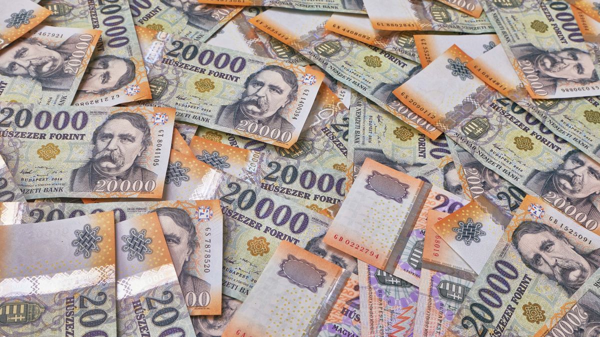Részvényeket ígértek egy nőnek, de csúnyán átverték