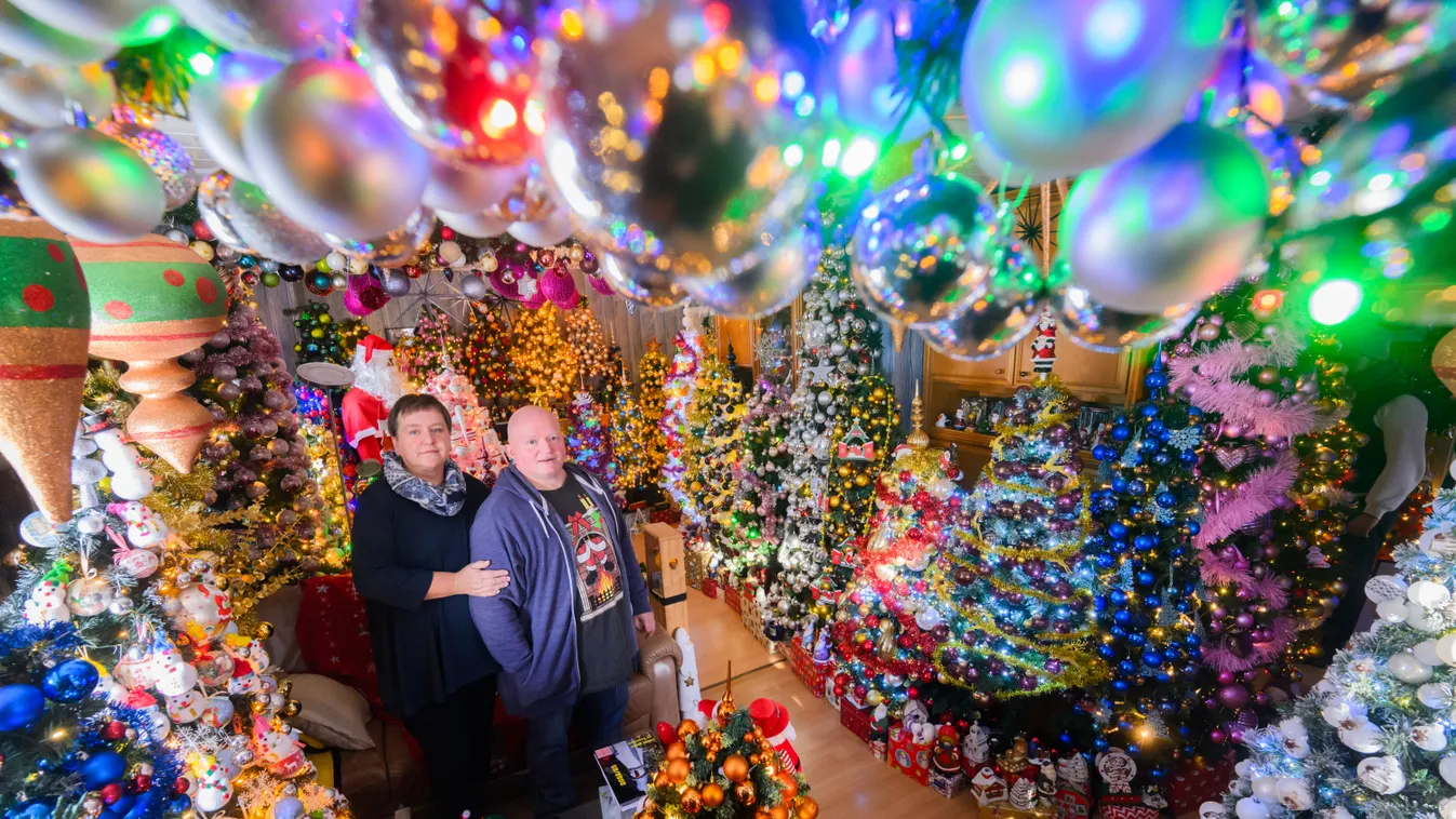 advent karácsony 555 karácsonyfa 
  Family decorates house with 555 Christmas trees Arts, Culture and Entertainment Colorful Passion for collecting Horizontal CUSTOMS CHRISTMAS CHRISTMAS TREE COLLECTOR 