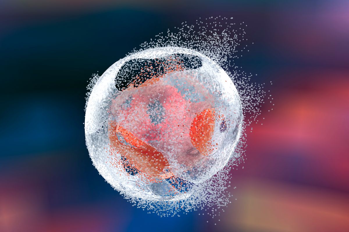 Destruction of a human cell, illustration
