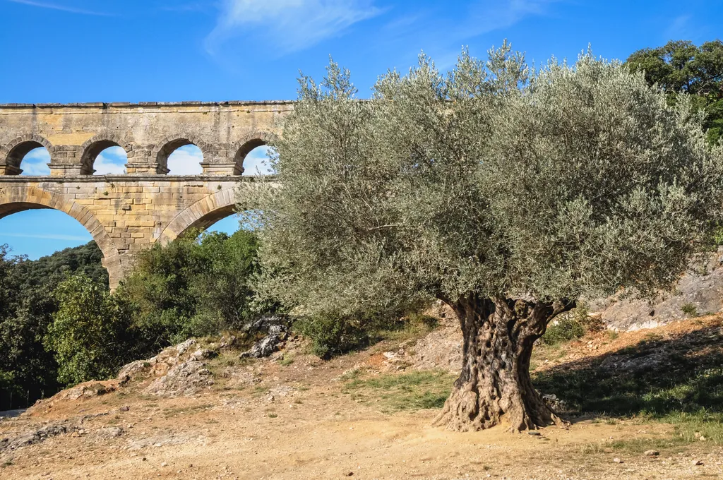 Pont du Gard római kori vízvezeték Franciaország, galéria, 2023 