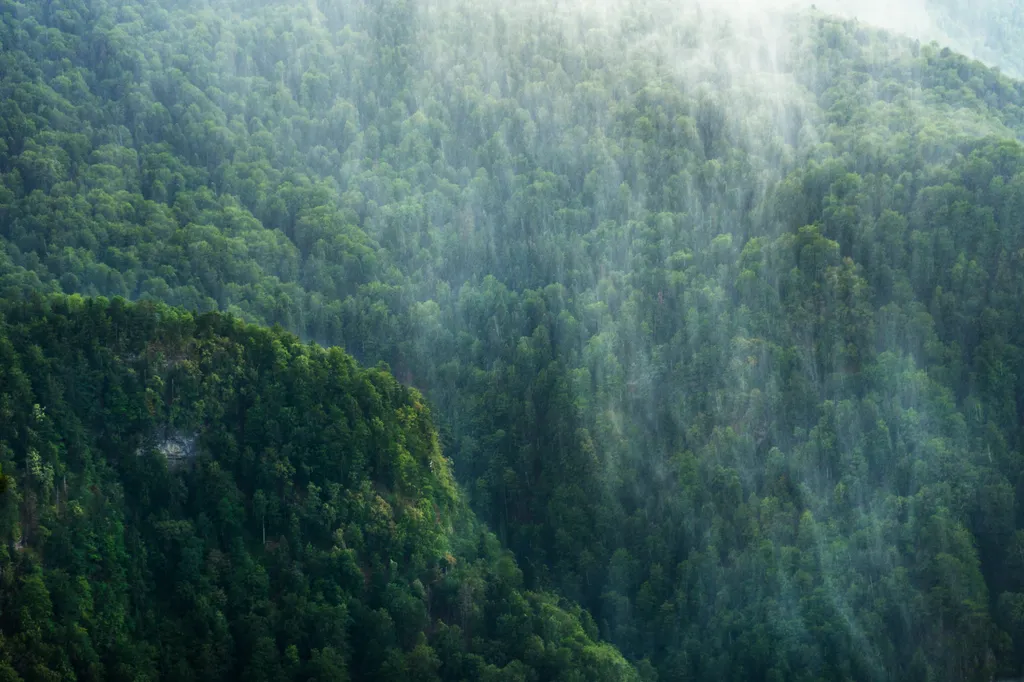 A 20ezer éves Perućica  egyike az utolsó őserdőknek Európában, ahol egy csodálatos vízesés is található, Perucica, erdő