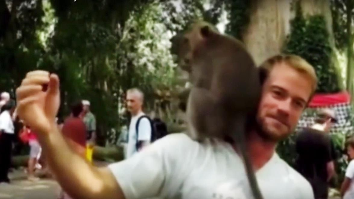 Majomszex a turista vállán - videó
