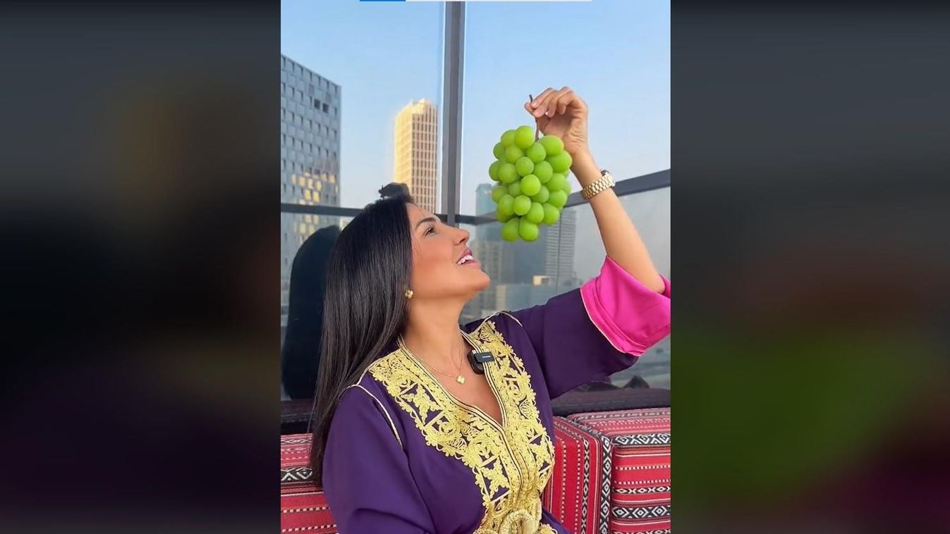 Dalila Laaribi, Gazdag dubaji nő vagyok - annyi pénzem van, hogy 90 fontot költöttem szőlőre, csak mert megtehettem, Dubaj 