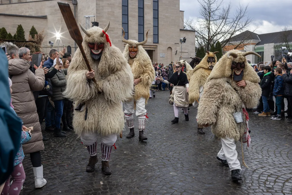 Mohács, busójárás, 2024, 