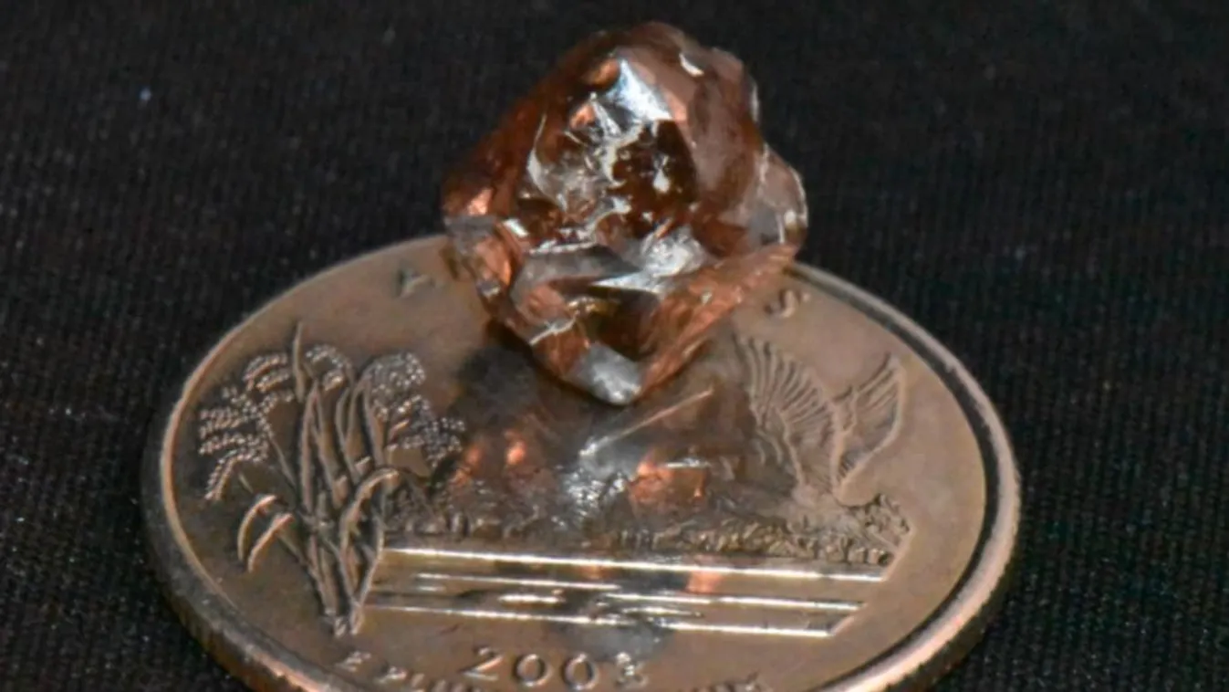 A parkfelügyelet által kiadott képen a gyémánt egy pénzérmén 