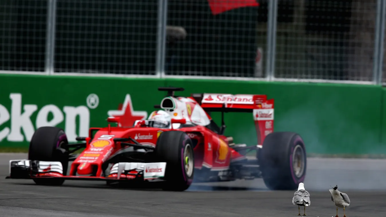 Forma-1, Sebastian Vettel, Ferrari, Kanadai Nagydíj, sirály 
