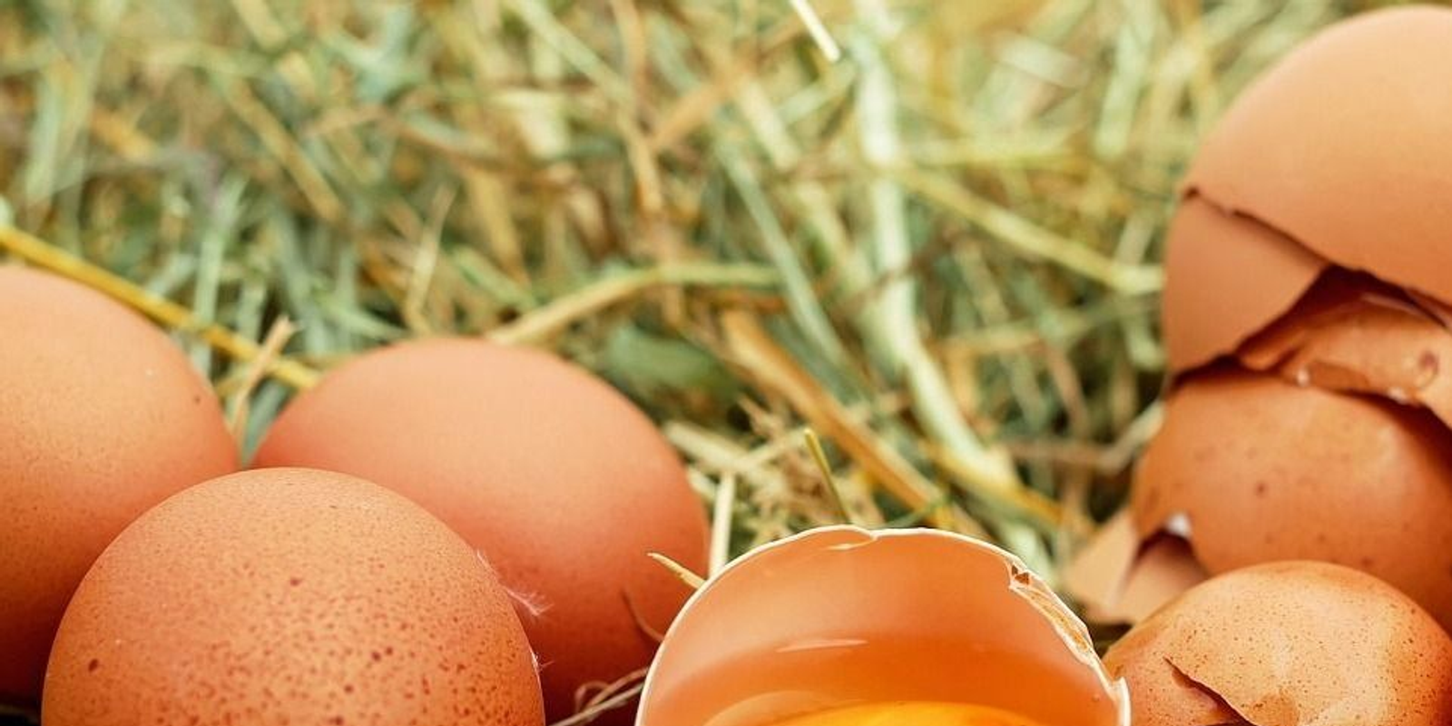 Huevos sanos: 9 razones por las que deberías comer huevos con regularidad, no sólo durante Semana Santa