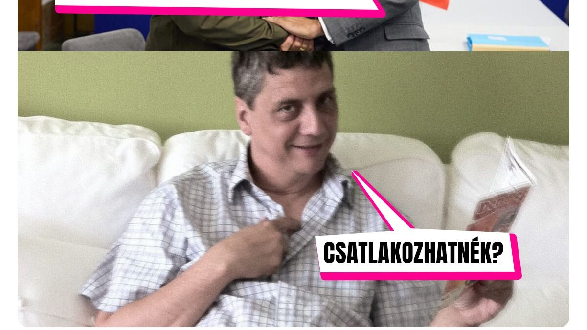 Napi balfék: Zsoltika is megmutatná