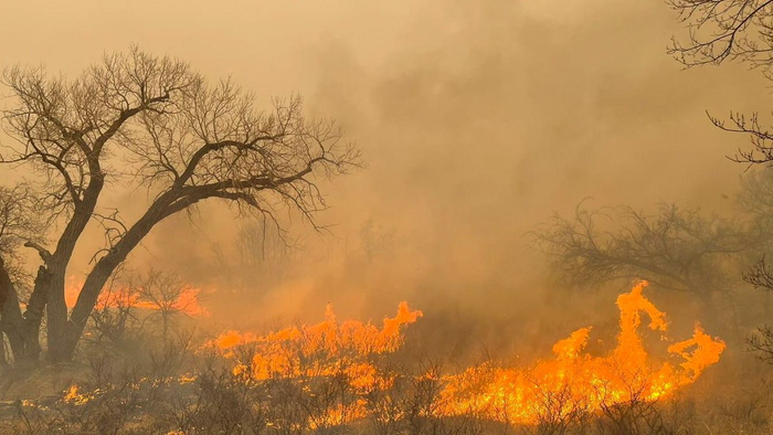 Egyre intenzívebben pusztít Texasban az erdőtűz - videó