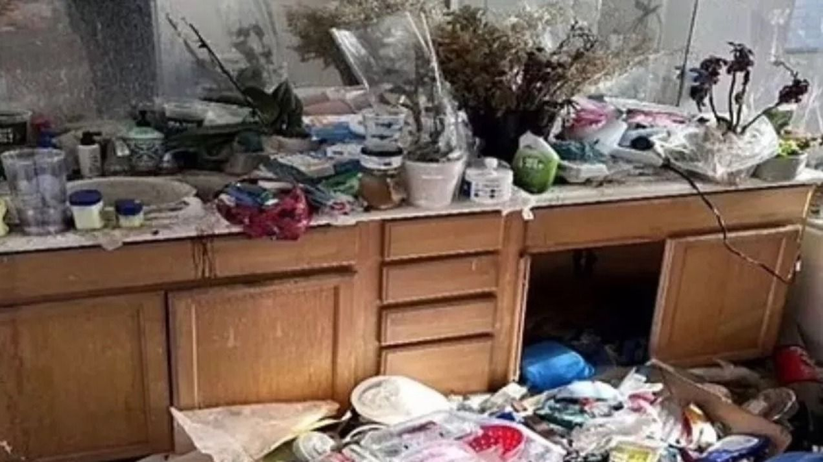 Mutatjuk a pokoli lakást, ahol a bűzlő szeméthalom mellett döglött patkányok hevernek