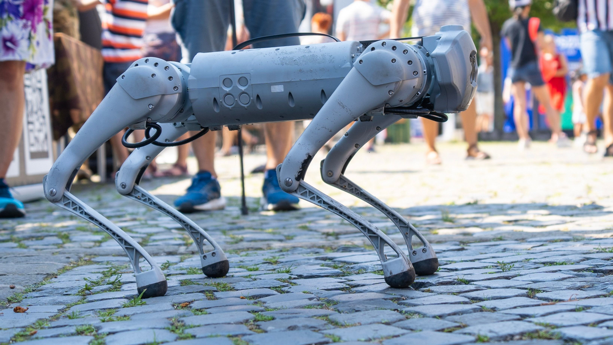 Robotkutya akadályozott meg egy vérontást az Egyesült Államokban