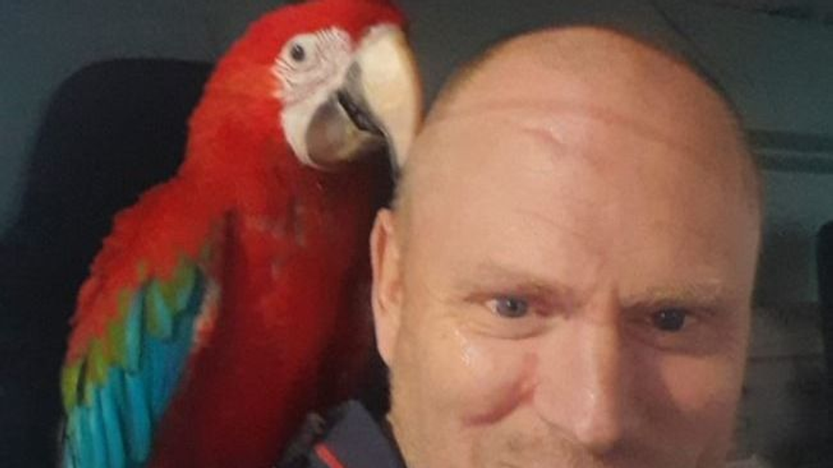 A papagája mentette meg egy brit rendőr életét