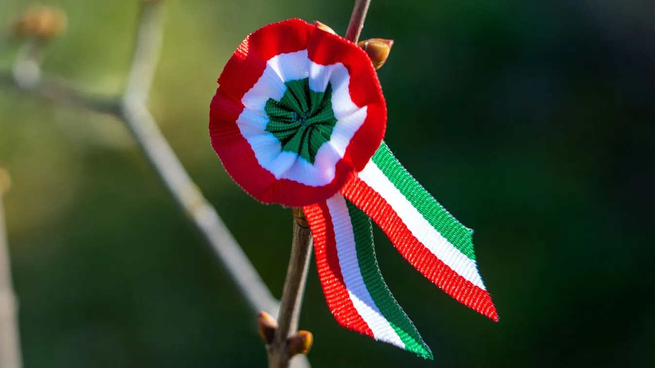 Tricolor,Rosette,On,Spring,Tree,With,Bud,Symbol,Of,The