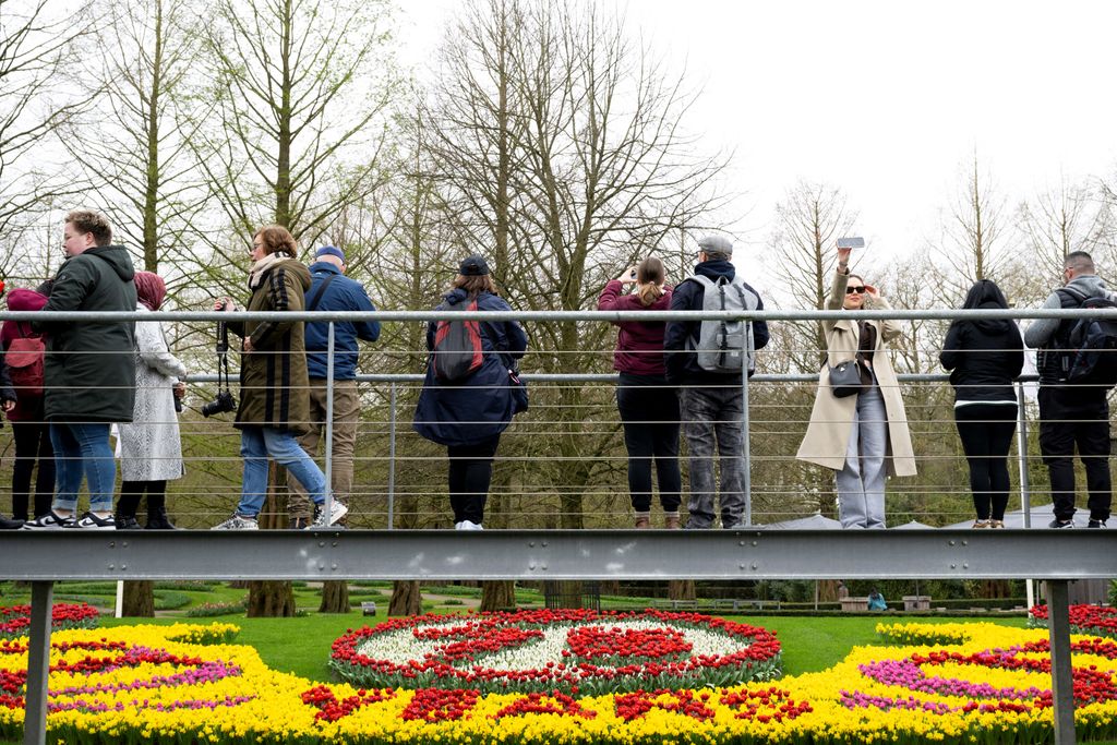 Keukenhof, Füvészkert, Lisse, Hollandia, világ legnagyobb virágoskertje, virág, virágzás, tulipán, évforduló, 2024. 03. 21. 