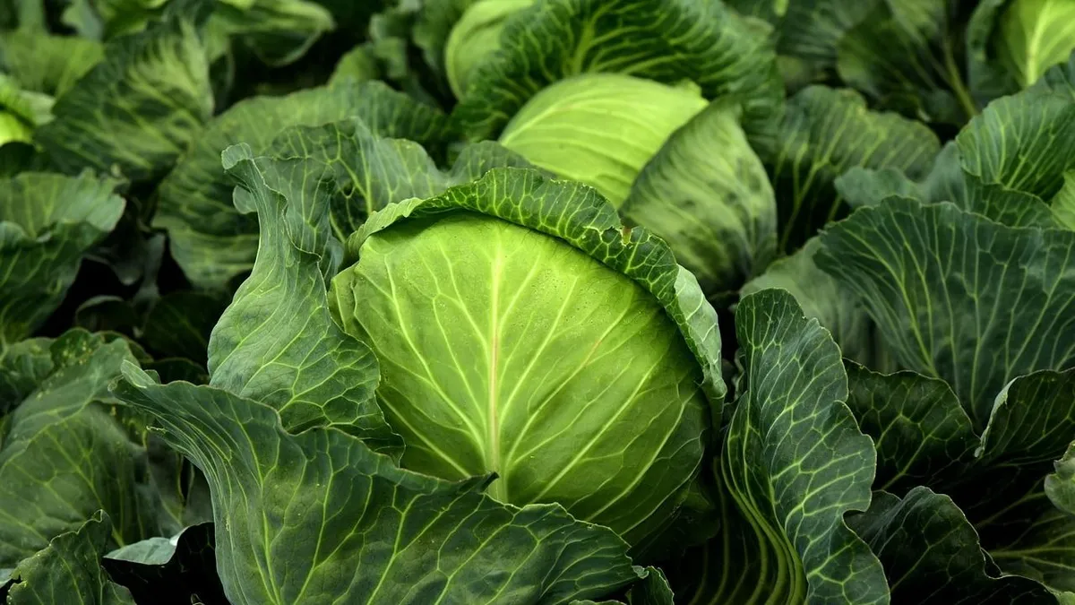 Ezek az ételek a legértékesebb C-vitamin-források