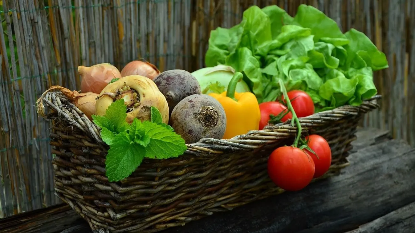 zöldség, hagyma, kosár, cékla, káposzta, saláta, zeller