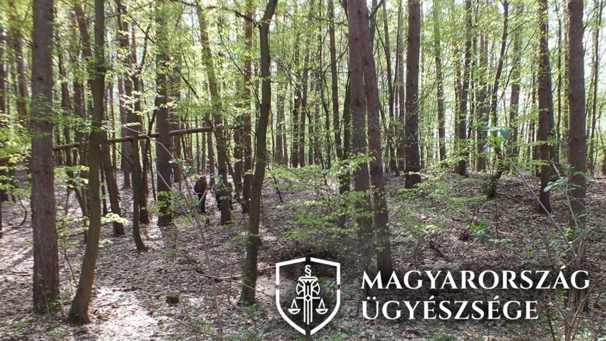 Elképzelhetetlen állatkínzás - szöget vert unokája kutyájának fejébe egy szilvásváradi férfi