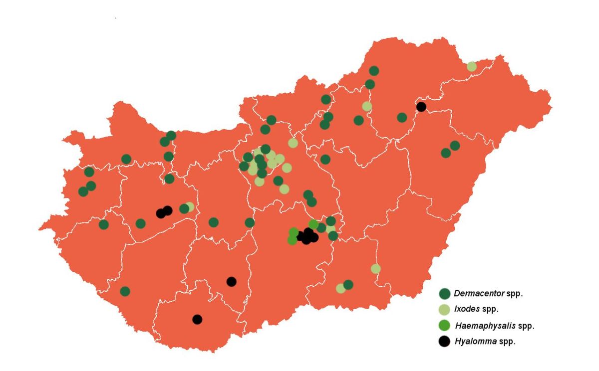 Magyarországon azonosított kullancsfajták lakossági bejelentések alapján.